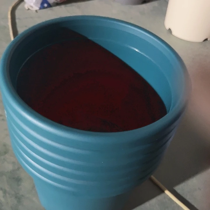 四季5号军绿无托6个特价微瑕