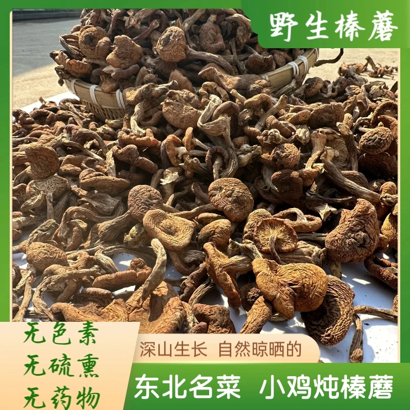 新货榛蘑东北野生蘑菇干货小鸡炖蘑菇无根袋装