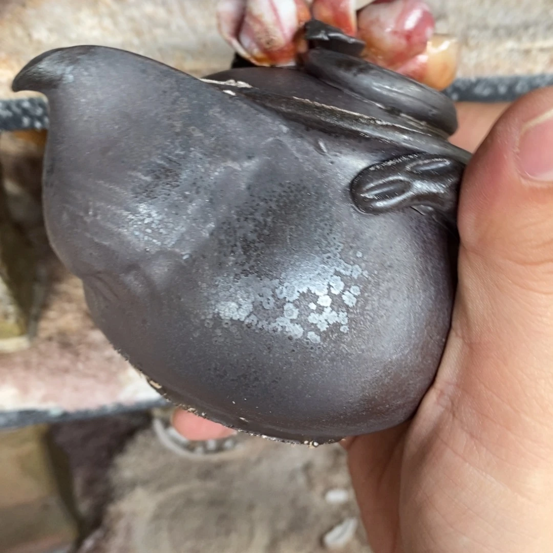 开窑大吉，高货多多！55