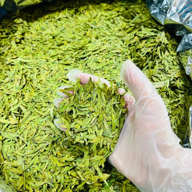 25新茶特惠款浙江浓香豆香龙井（芽肥味浓）