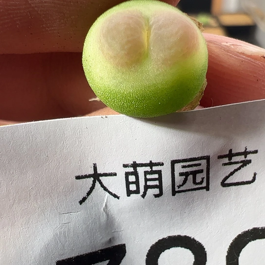 一物一拍。      789