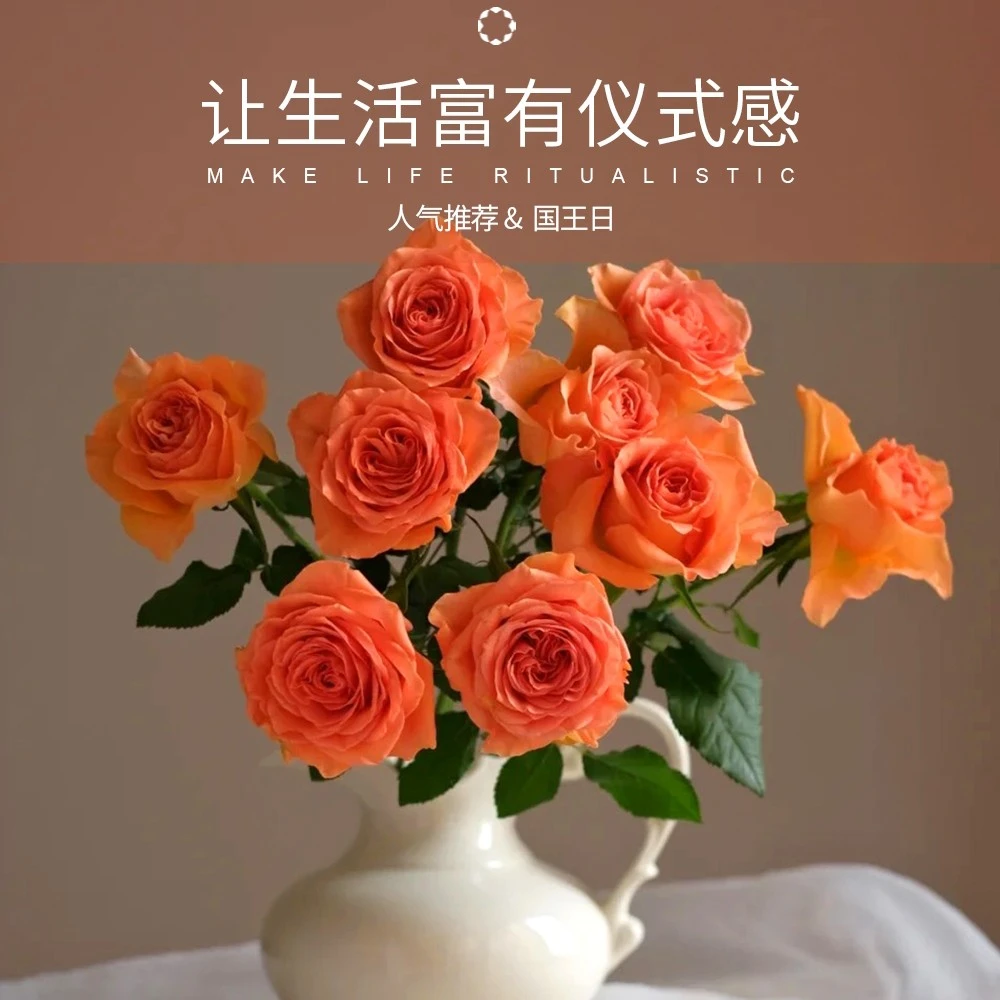 《国王日》橙色单头玫瑰20支云南直发同一地址两单送配草包邮