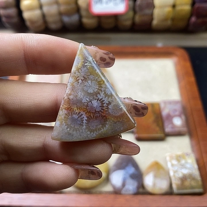 硅化珊瑚（珊瑚玉）未镶嵌颈饰