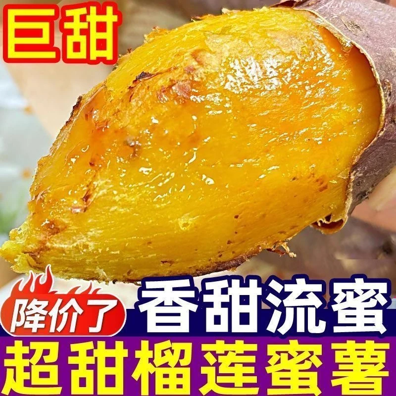 【榴莲蜜薯】正宗新鲜现挖蜜薯沙地种植香甜丝滑软糯糖心红薯