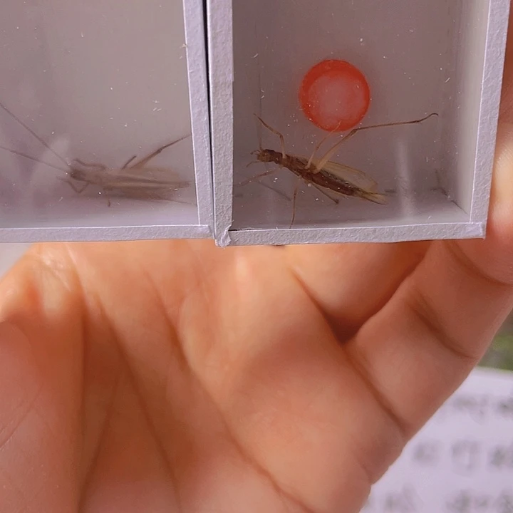 岚****红竹2啊啊啊啊啊啊