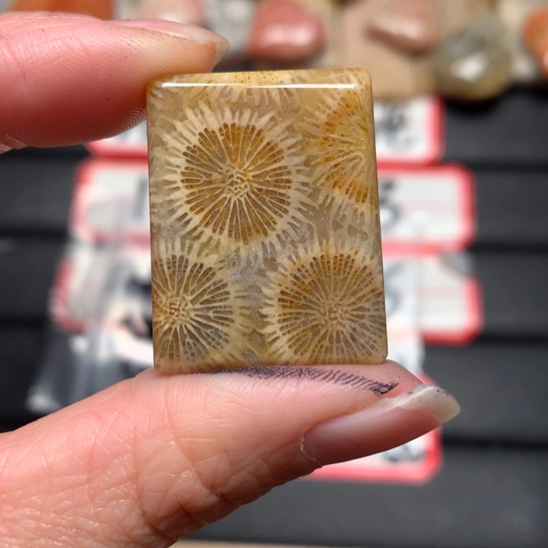 【闪购商品】硅化玉颈饰未镶嵌暗*