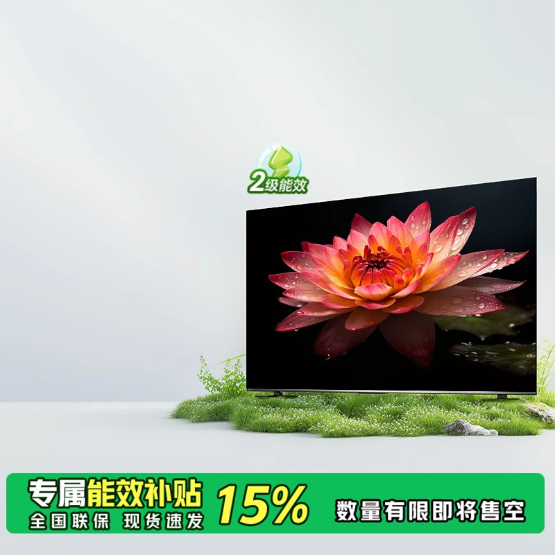 【山东地区立减15%】65英寸高色域电视