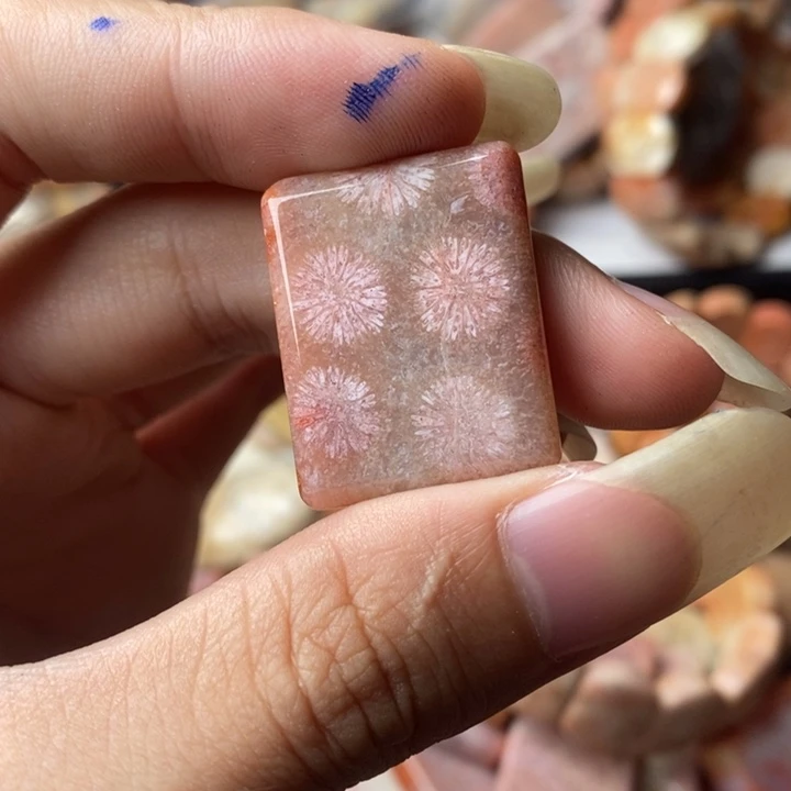 俱***进颈饰未镶嵌硅化珊瑚（珊瑚玉）