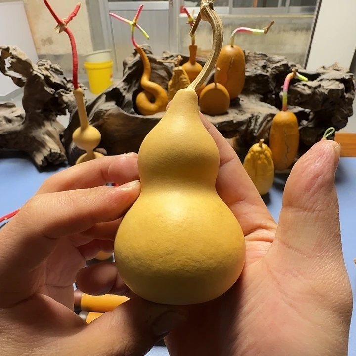 璞***大叶紫檀（黑酸枝木类）