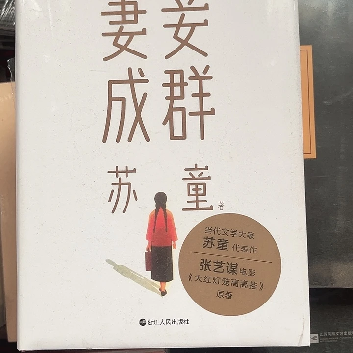 妻妾成群全新精装