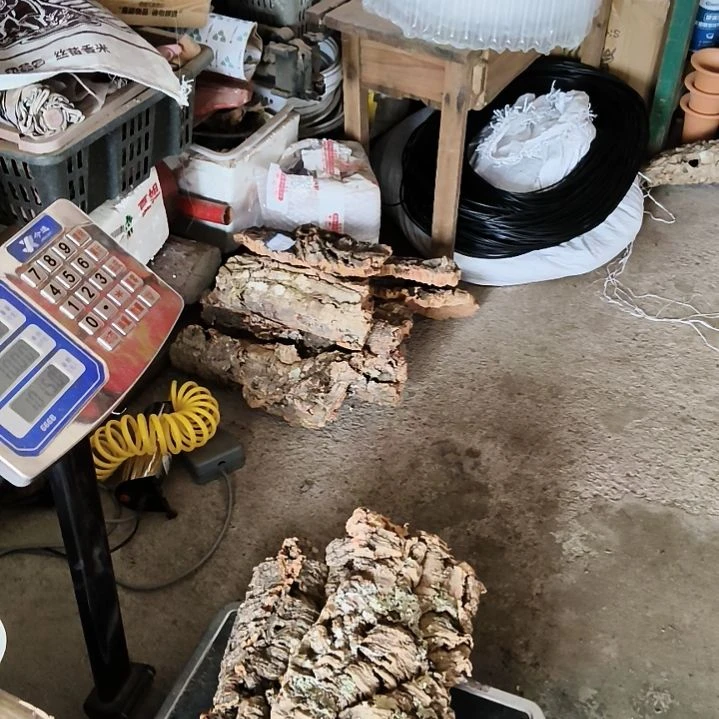 一物一拍一物一发