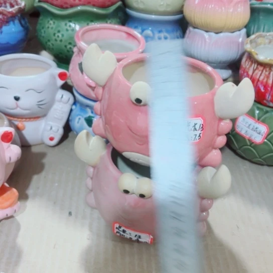 红陶111111111111111111