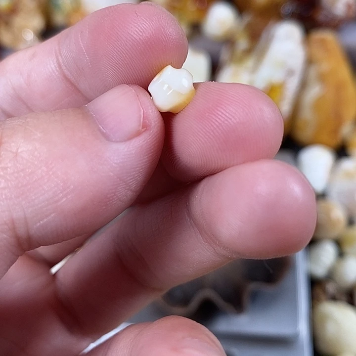 琥珀未镶嵌裸石我