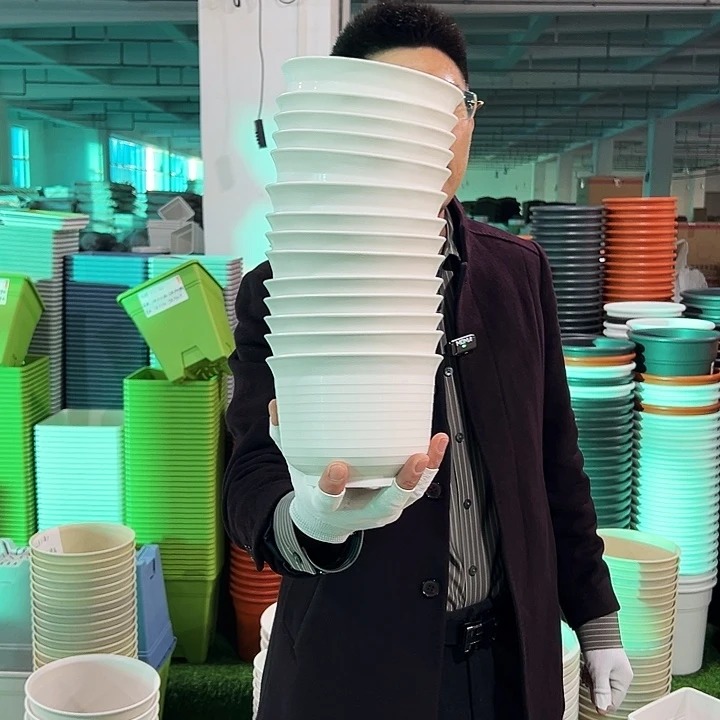 正品矮陶口15高11白色10只无托