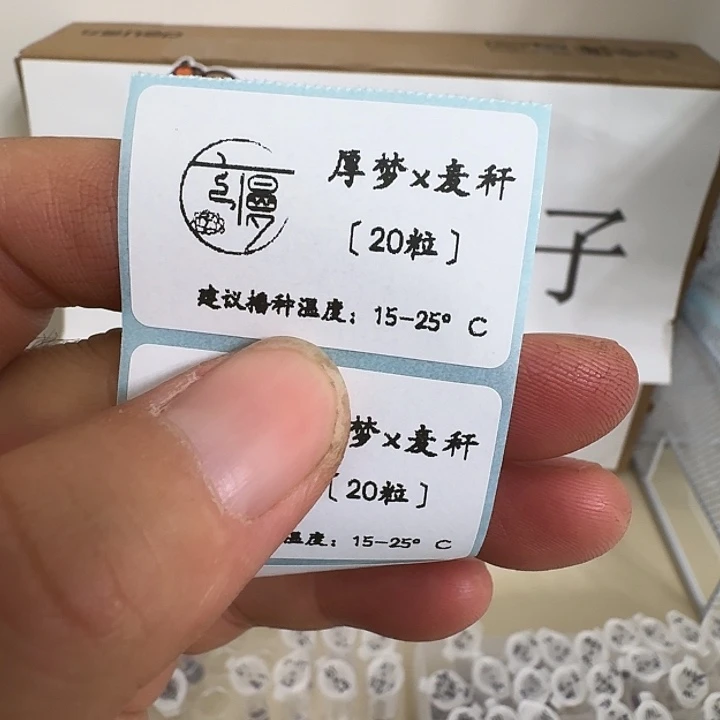 如图2025糖心珍妮种子厚梦x麦秆20粒不包出芽率