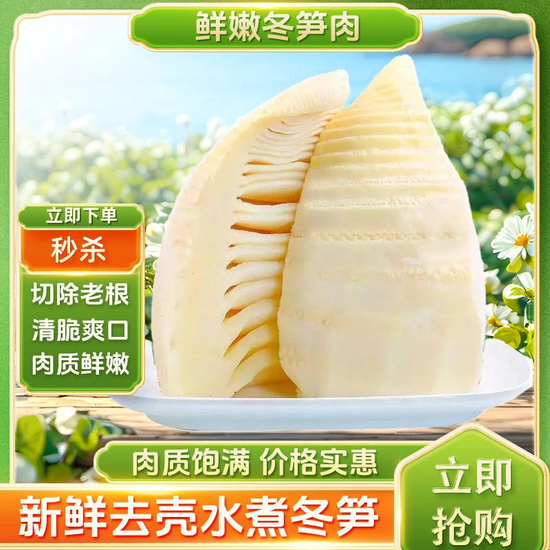 江西高山新鲜冬笋春笋农家去壳竹笋鲜笋时令蔬菜火锅水煮冬笋非现