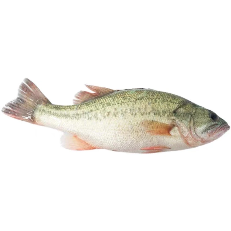 鲜活鲈鱼400g±50g/条（默认杀好）