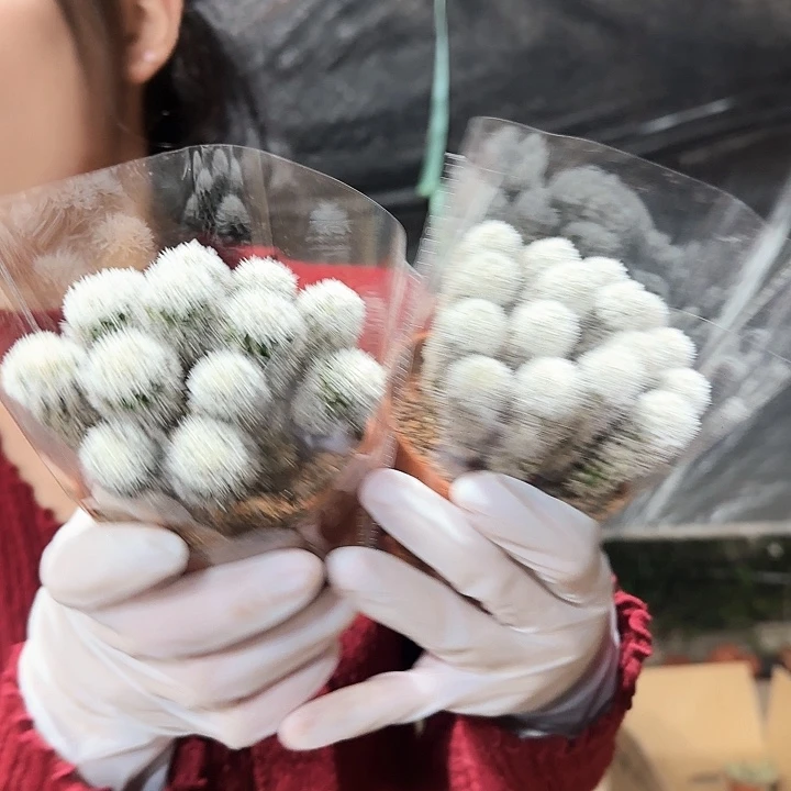 明月香姬111111111111