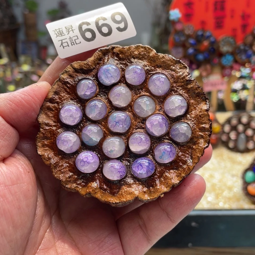 核桃木/黑胡桃（胡桃木）669