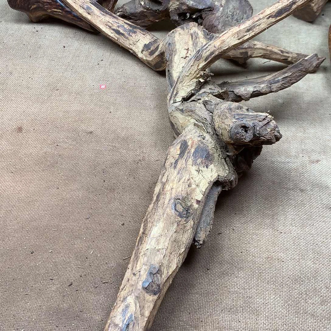 一***锁黄花梨/降香黄檀原材料品香料