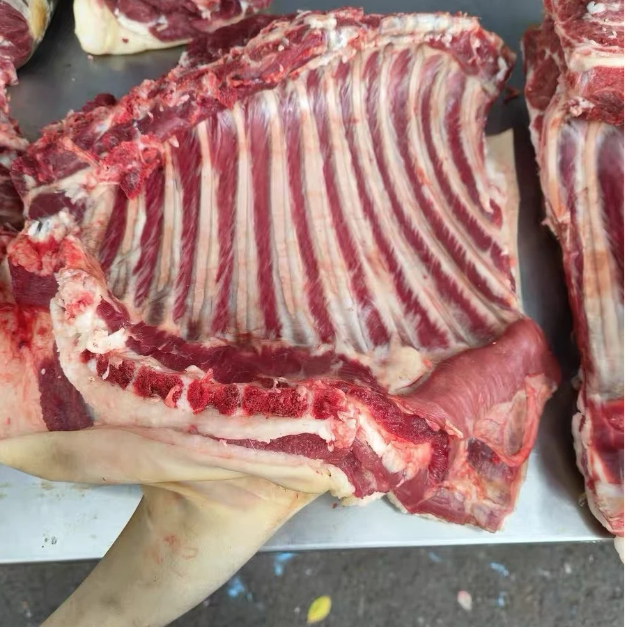 【羊排】新鲜黑山羊 现称为准 一物一拍