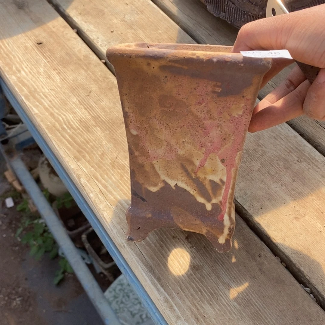 红陶46号多肉盆一个呀