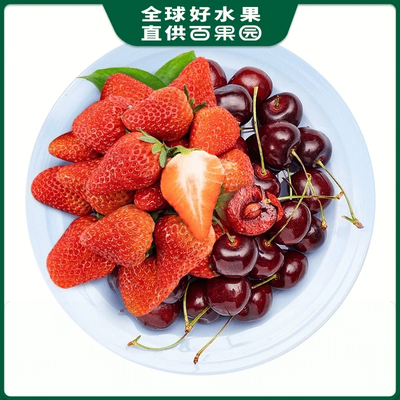 【莓厘CP】智利进口车厘子J约200g（约20颗）+A级红宝玉草莓中约250g/1份共450g