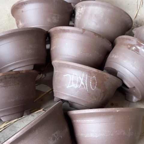 100-11。        20-10