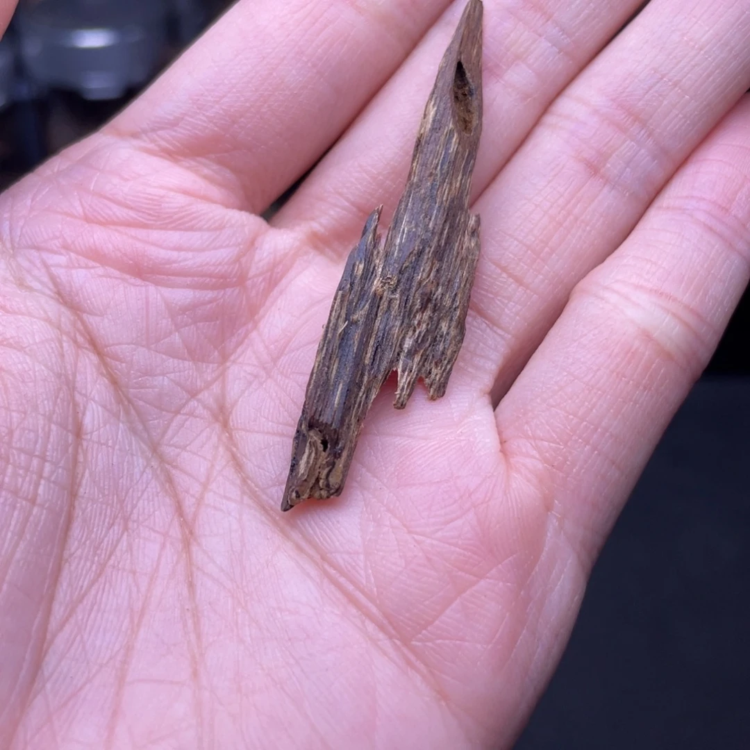 香榧木越南沉水虫漏树心1克