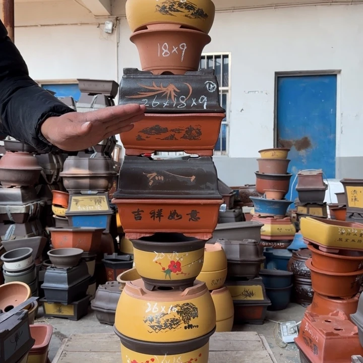 紫砂花盆我的小伙伴都在等