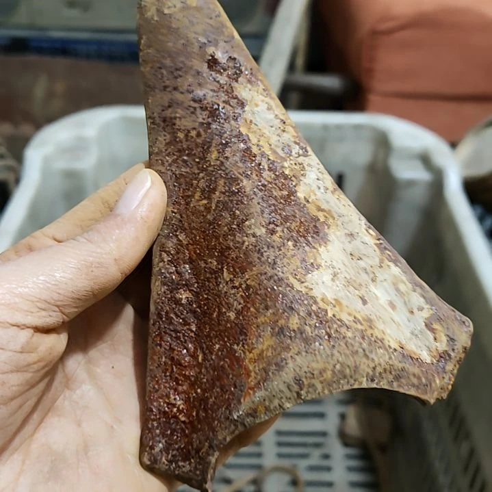 老***刘瓷片孤品微瑕看好下单