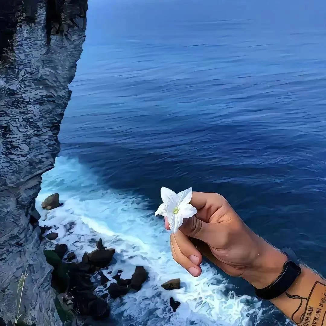 SAMPLE潮牌服饰4U短袖