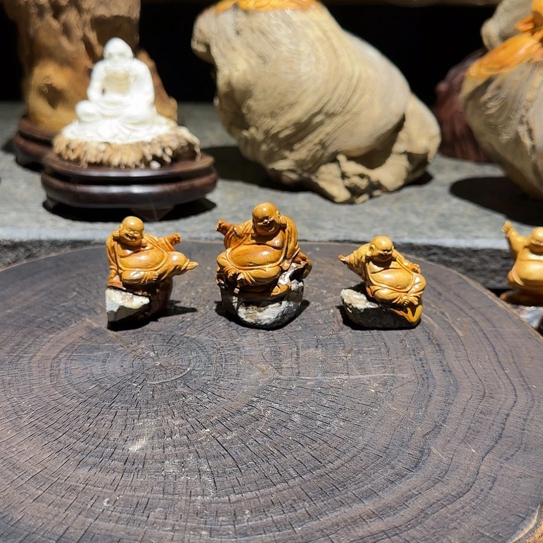 上***君柏木（崖柏）太行集团