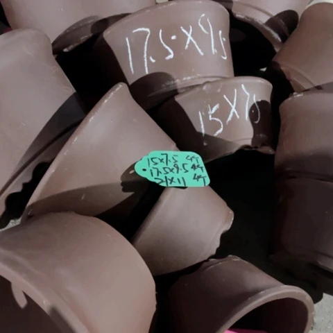 100-12。  组合。