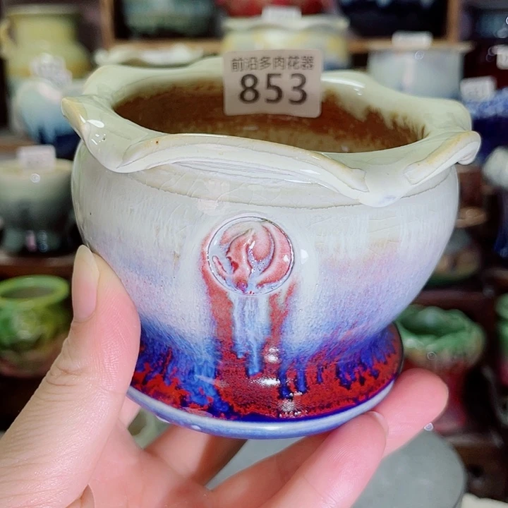 狼盆内口径8高度8