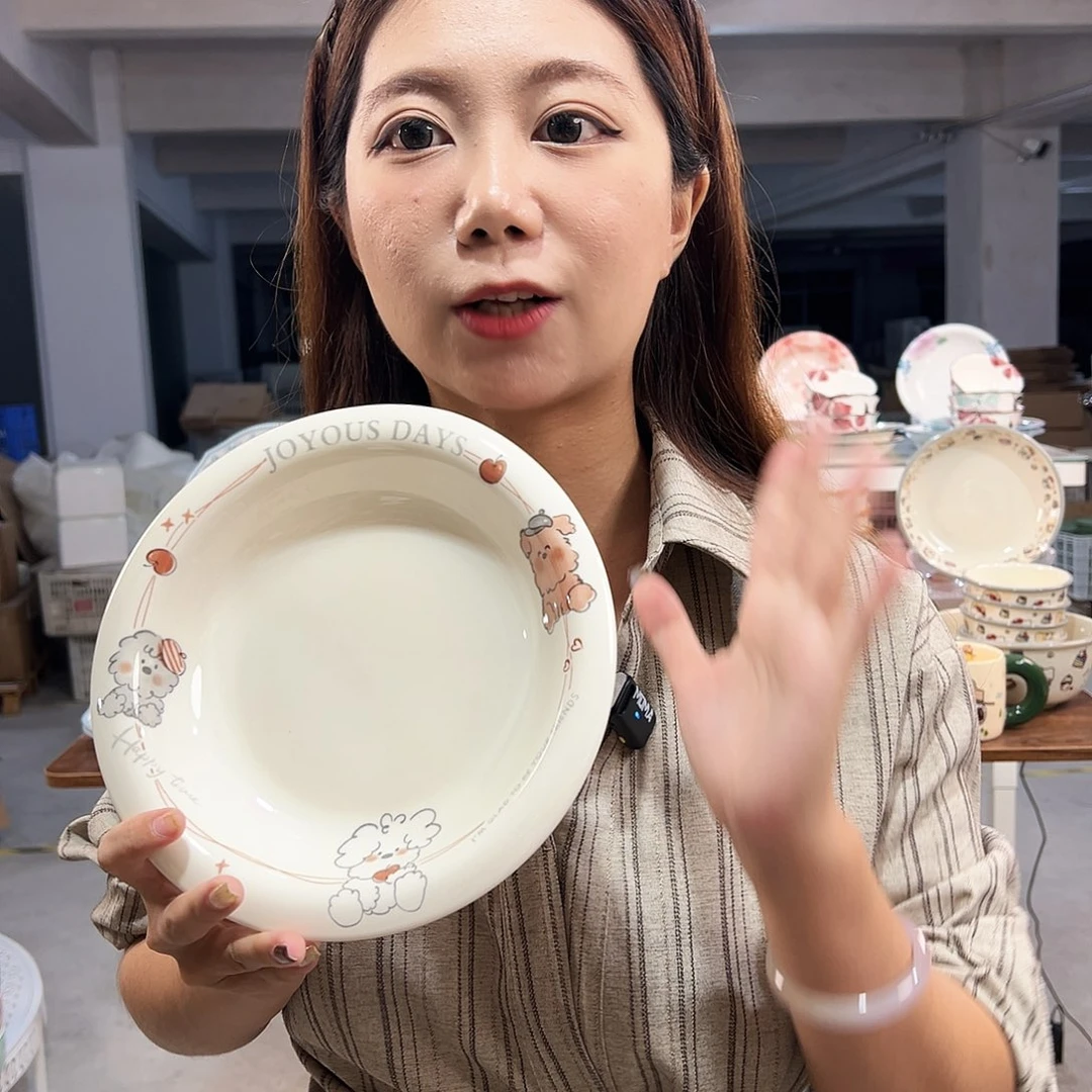 潮州微瑕陶瓷餐具8寸