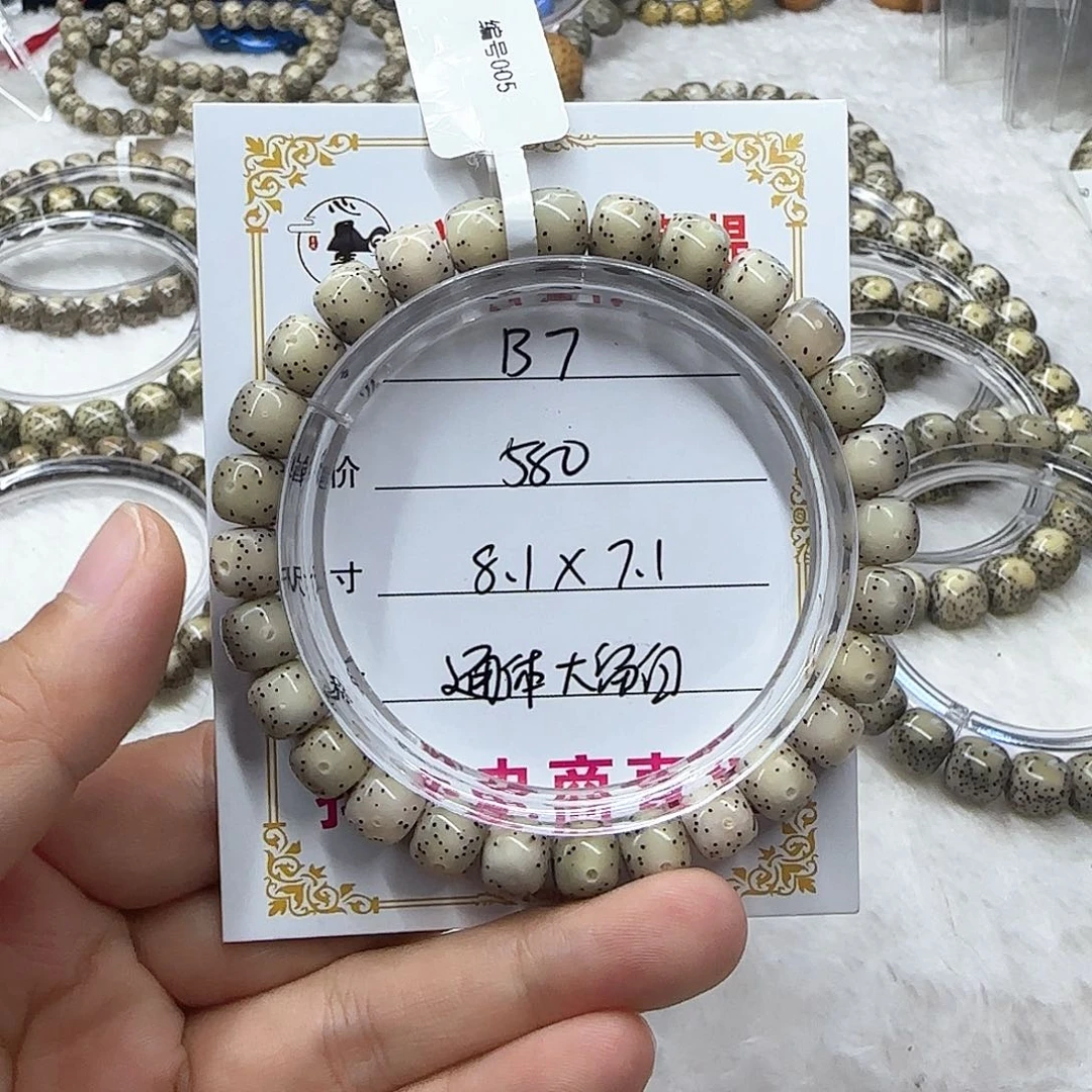 心月星月菩提一号B7