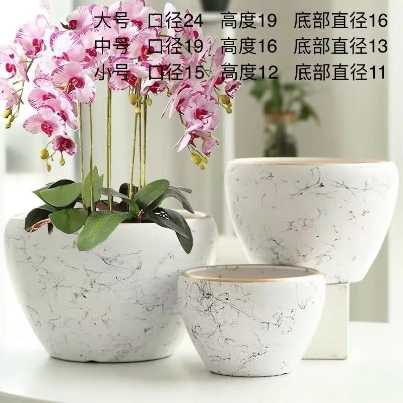 苹果形花盆家用桌面客厅大口径适合蝴蝶兰绿萝等绿植
