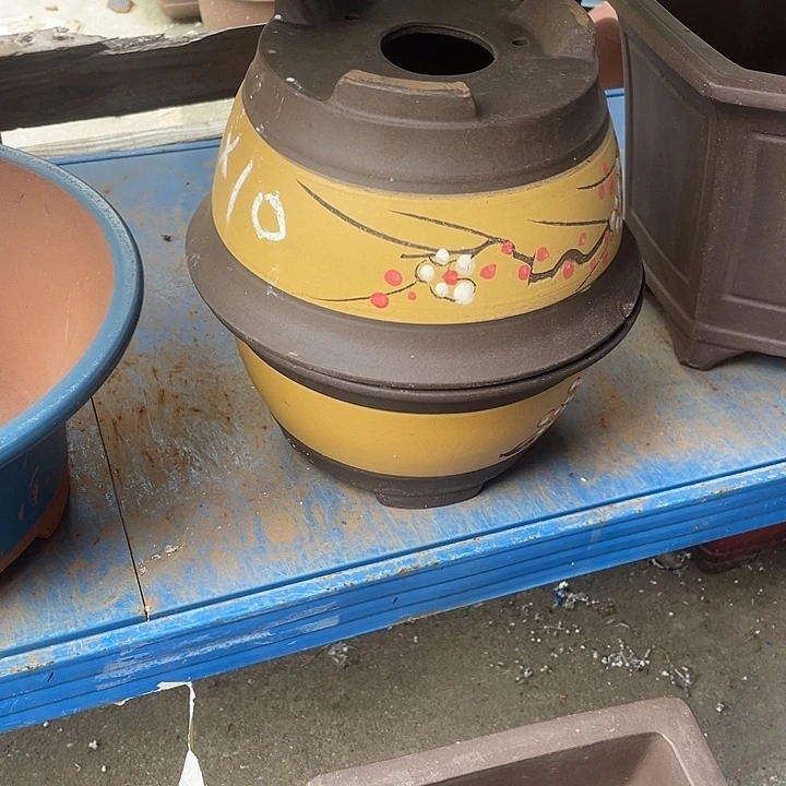 黄富贵点菜小一对花盆紫砂花盆