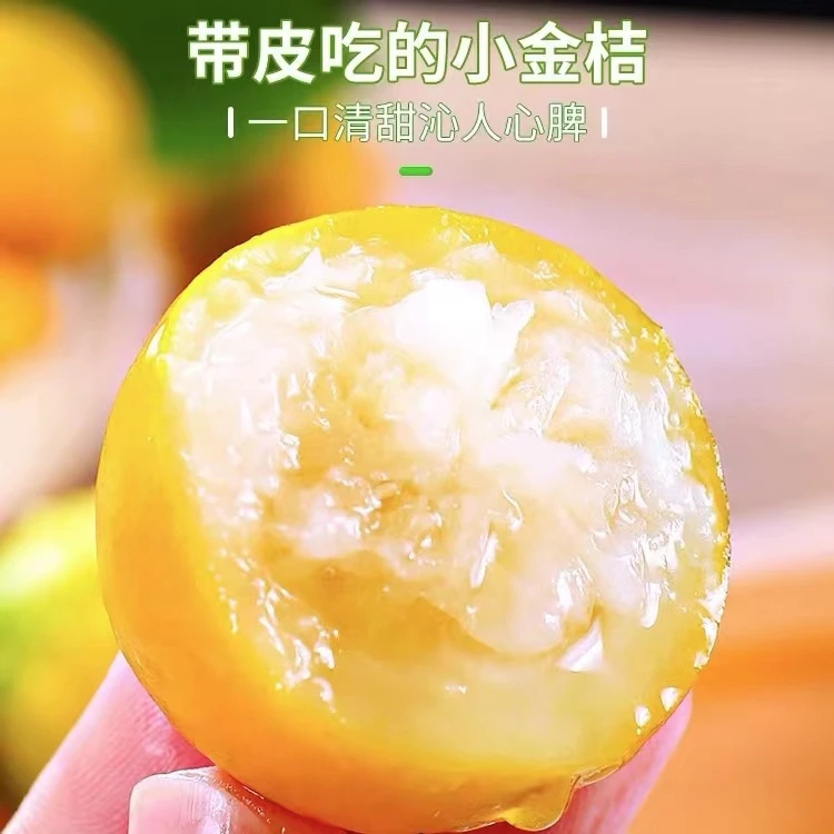 广西融安滑皮金桔 香甜无涩