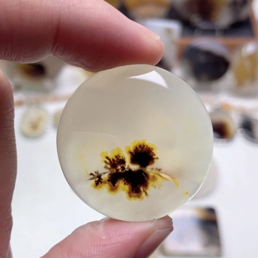 【闪购商品】玛瑙/玉髓颈饰未镶嵌