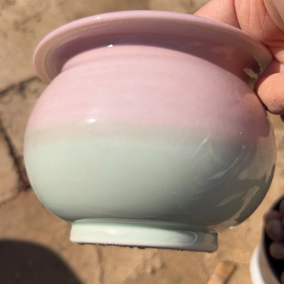 新疆包邮 中号盆一只