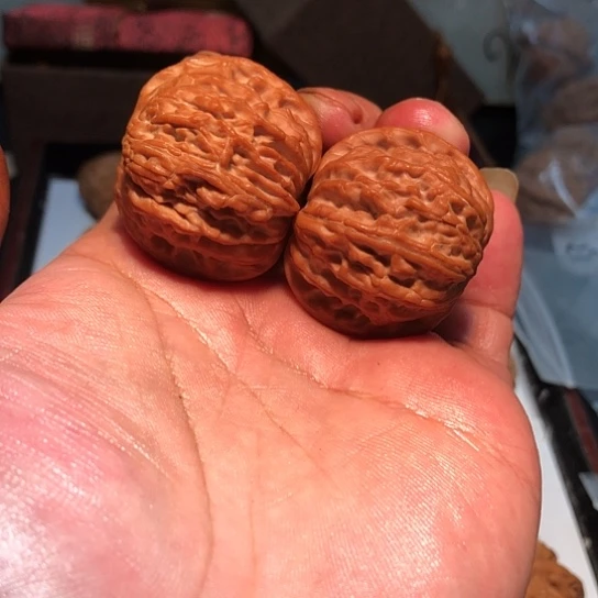 他***乐有机玻璃40全品山地磨