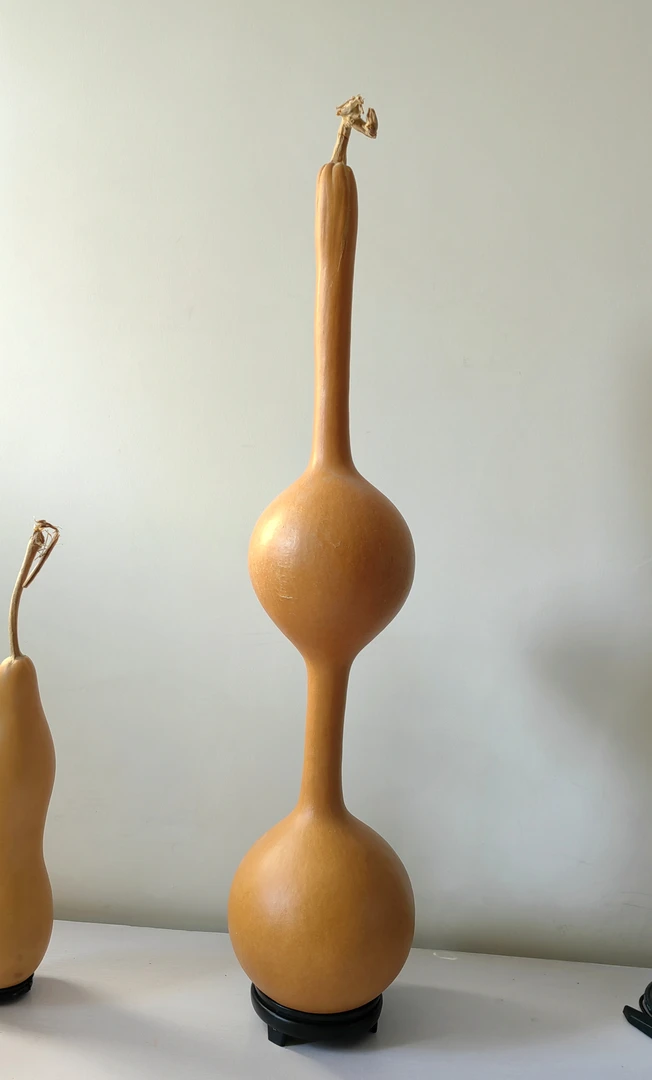 小贵但是种子保纯 大三庭葫芦种子7粒