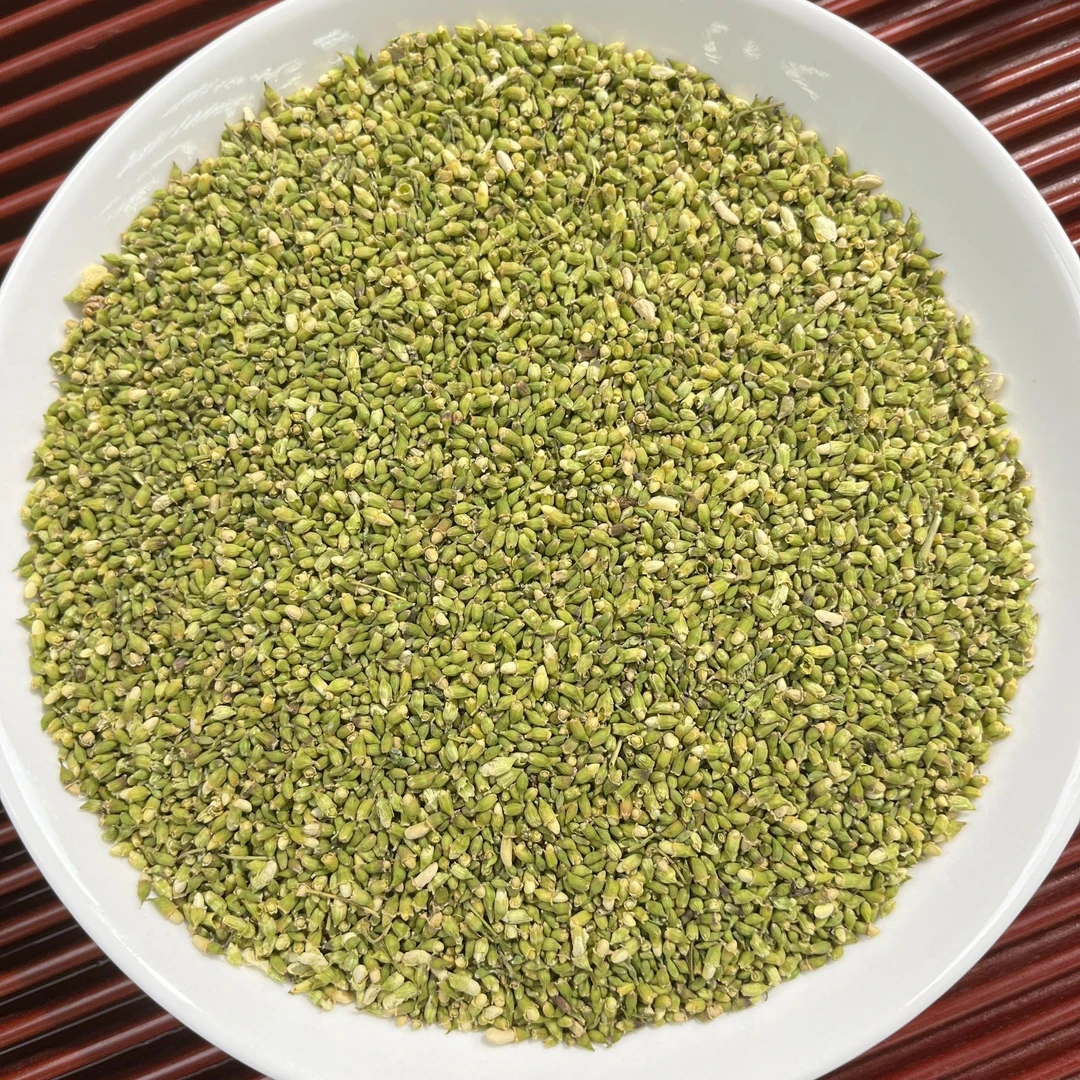 【雪山珠子参蕊】2025秋参新蕊 冈底斯山脉 百搭养生茶