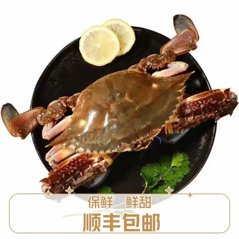 鲜活母飞蟹 每只4两左右 【保鲜不保活】断腿正常 三斤一共7.8只