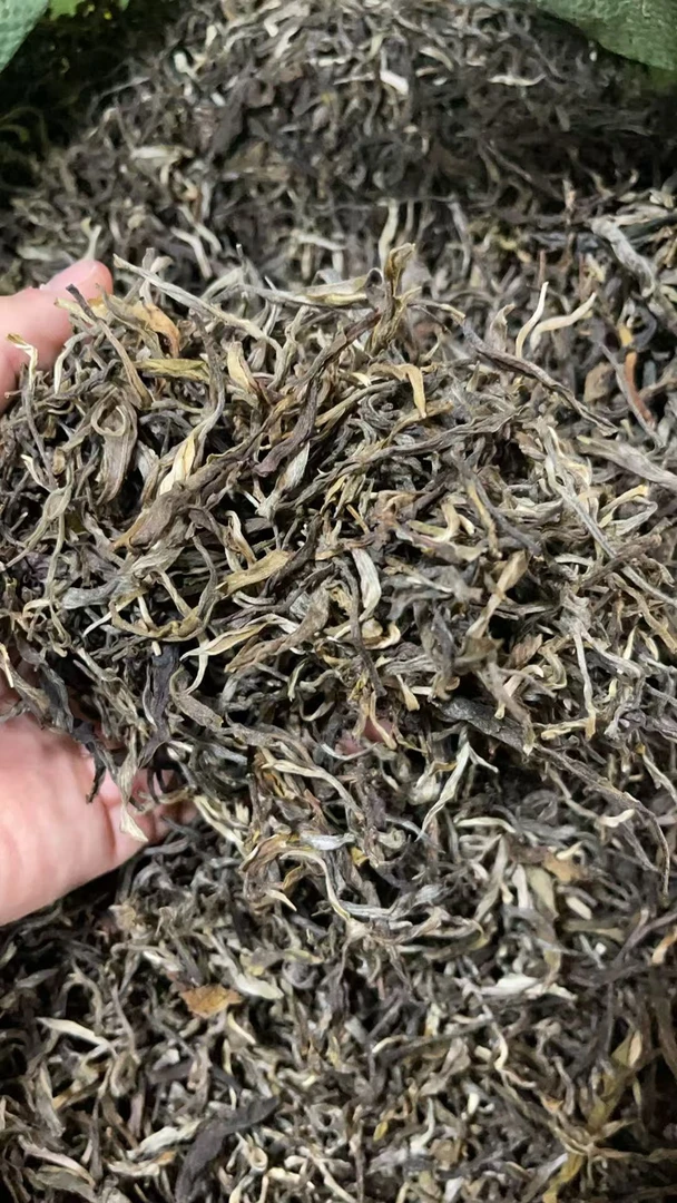 2024年霸卡囡生茶500g