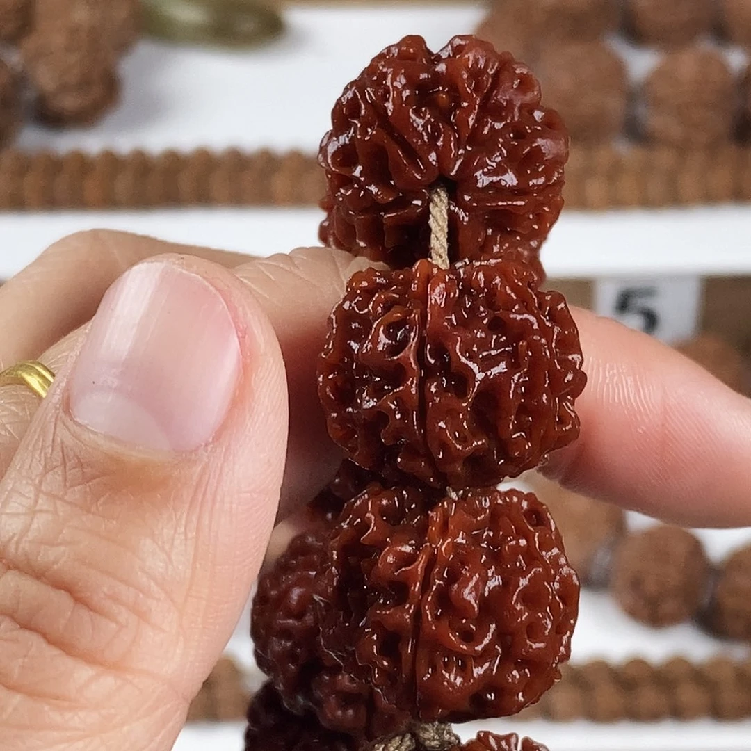 手串金刚菩提原生态精品5瓣梅花蜂窝双龙