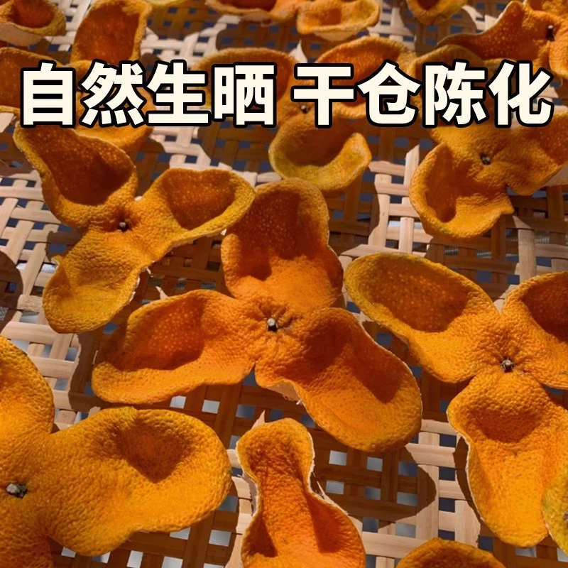 茶枝柑《梅江塞口围大红》正宗新会陈皮原产地果园批发