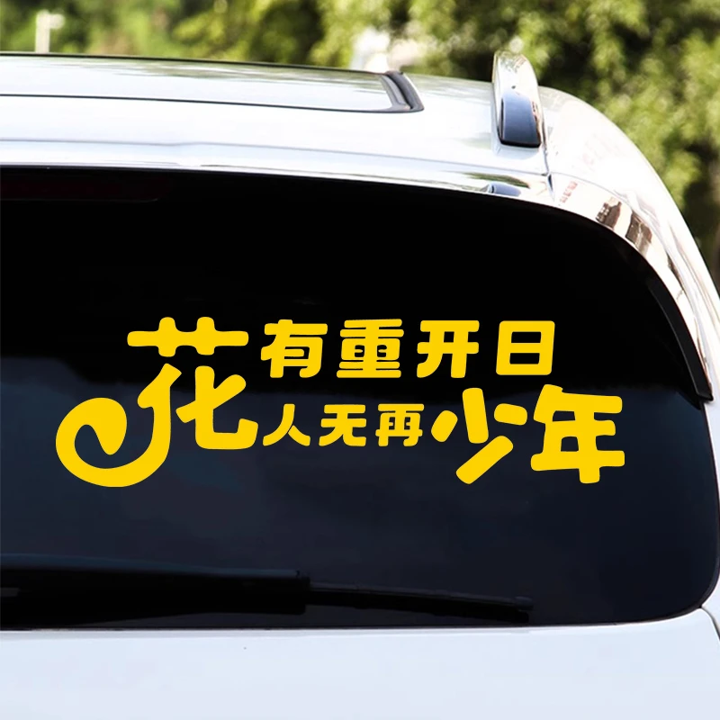 花有重开日人无再少年励志个性创意网红装饰后玻璃车门车贴贴纸